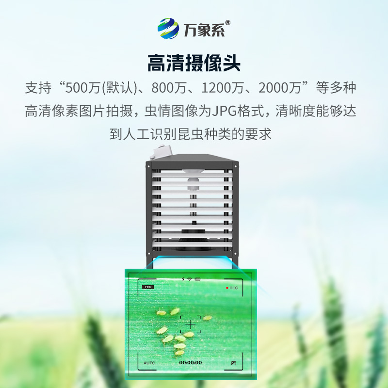 小蟲體自動(dòng)測報(bào)系統(tǒng)